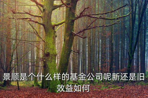 景順基金是什么，什么是景順系