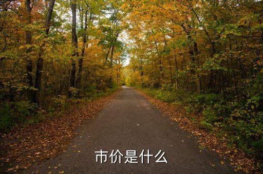 市價(jià)是什么