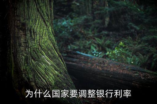 為什么要調(diào)整利率，國家為什么調(diào)整利率
