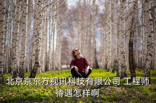 京東方視迅是什么公司，北京京東方視訊科技有限公司 工程師待遇怎樣啊