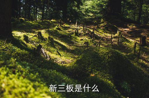 430002是什么股票，中科軟股票是多少在哪個證券所