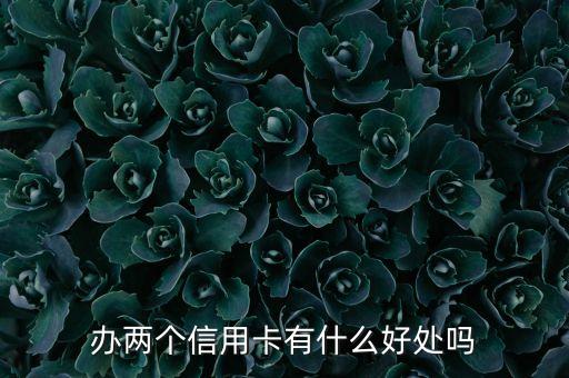 雙標(biāo)信用卡有什么好處，去歐洲辦雙標(biāo)信用卡還是單標(biāo)信用卡
