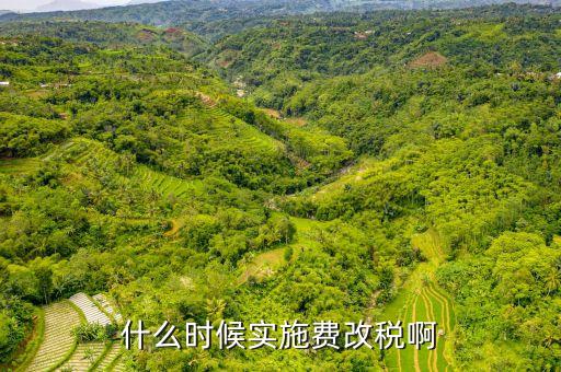 什么時(shí)候?qū)嵤┵M(fèi)改稅啊