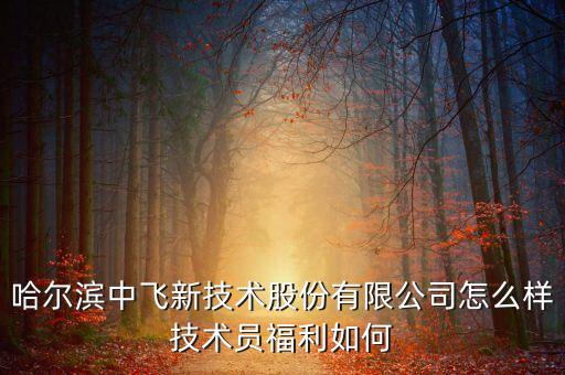 中飛股份公司做什么的，哈爾濱中飛新技術(shù)股份有限公司怎么樣技術(shù)員福利如何