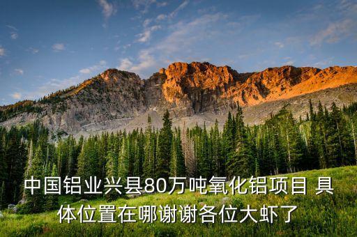 中鋁蔡安輝什么級(jí)別，中國鋁業(yè)興縣80萬噸氧化鋁項(xiàng)目 具體位置在哪謝謝各位大蝦了