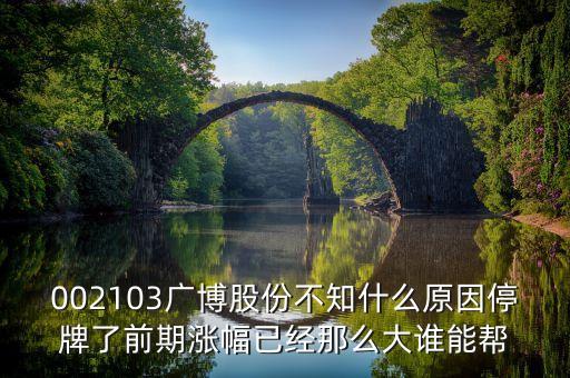 廣博股份什么時(shí)候復(fù)牌，002103廣博股份不知什么原因停牌了前期漲幅已經(jīng)那么大誰(shuí)能幫