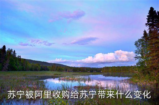 蘇寧被阿里收購給蘇寧帶來什么變化