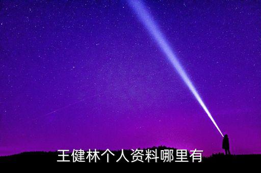 王健林個(gè)人資料哪里有
