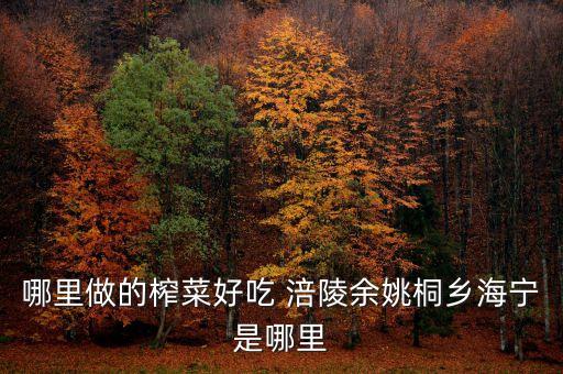哪里做的榨菜好吃 涪陵余姚桐鄉(xiāng)海寧是哪里