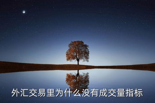 有買單賣單為什么沒有成交量，外匯交易里為什么沒有成交量指標(biāo)