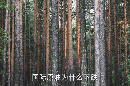 國(guó)際原油為什么暴跌，造成國(guó)際油價(jià)下跌的因素有哪些