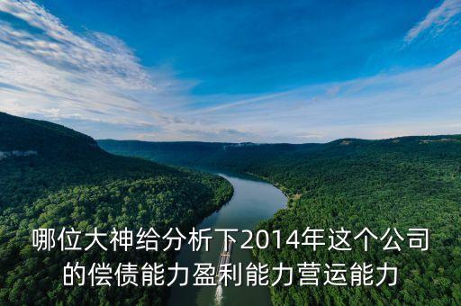 盈利能力控制主要包括什么，盈利能力控制名詞解釋