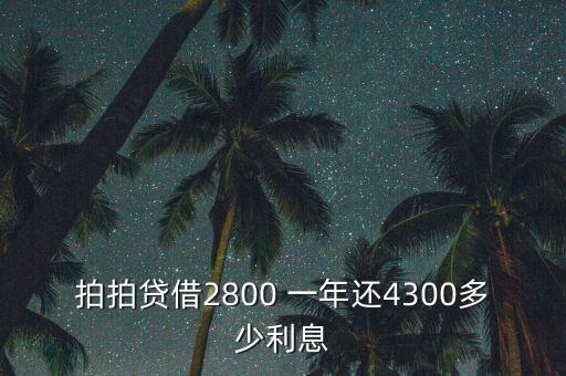 什么是拍拍貸，拍拍貸借2800 一年還4300多少利息