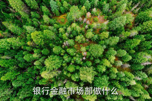 民生銀行金融市場(chǎng)部做什么，銀行金融市場(chǎng)部做什么