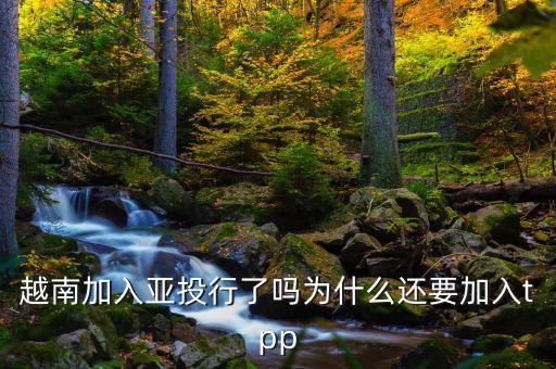 tpp為什么越南可以，TPP是代表什么經(jīng)濟(jì)組織 請高手解答