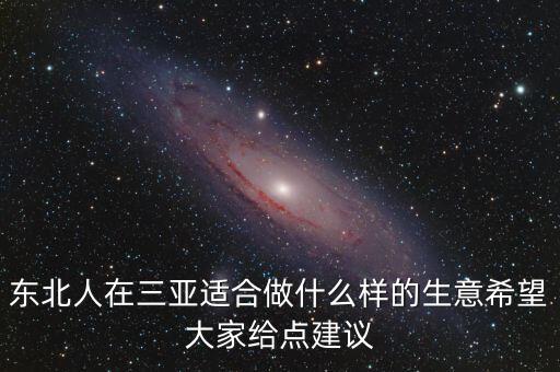 東北人在三亞能做什么生意呢，三亞市適合做什么生意