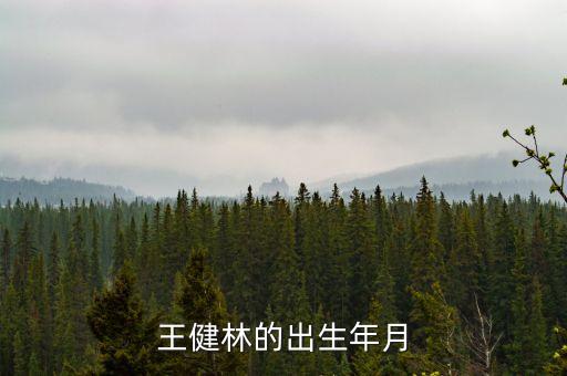 王健林什么時(shí)候起家，王健林的出生年月