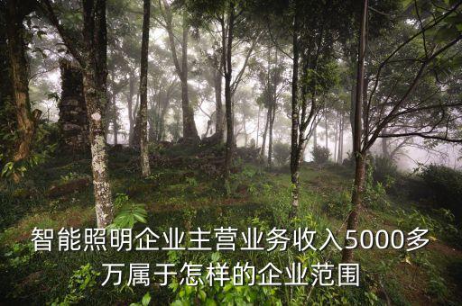 溫州宏豐主營什么，請(qǐng)問凈利率的公式計(jì)算是凈利潤主營業(yè)務(wù) 還是主營業(yè)務(wù)還加其他也