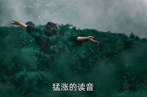 猛漲的漲讀什么，猛漲的讀音
