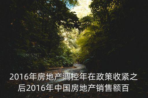 2016房市下一步還能出什么政策，2016年房地產(chǎn)調(diào)控年在政策收緊之后2016年中國房地產(chǎn)銷售額百