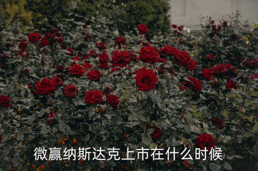 微贏納斯達克上市在什么時候