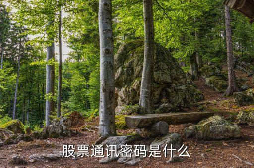 山西證券通訊密碼是什么，證券里面的通訊密碼是什么意思