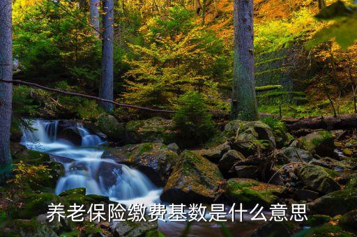 什么是養(yǎng)老保險(xiǎn)繳費(fèi)基數(shù)，養(yǎng)老保險(xiǎn)中的繳費(fèi)基數(shù)是什么意思