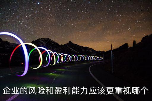企業(yè)的風(fēng)險和盈利能力應(yīng)該更重視哪個