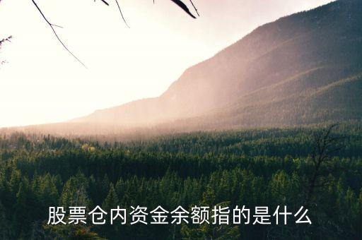 股票資金余額是什么，股票賬號里面的資金余額是什么意思