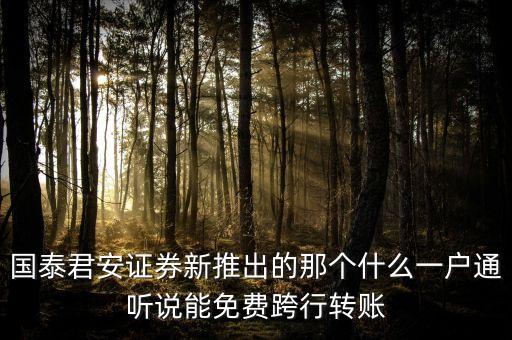 國泰君安一戶通是什么，國泰君安證券那個(gè)君弘一戶通現(xiàn)在很火據(jù)說可以當(dāng)銀行卡使用