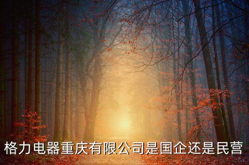格力為什么是國(guó)企，格力是國(guó)企為什么董明珠有股份 身家那么多不是應(yīng)該是領(lǐng)年薪和分