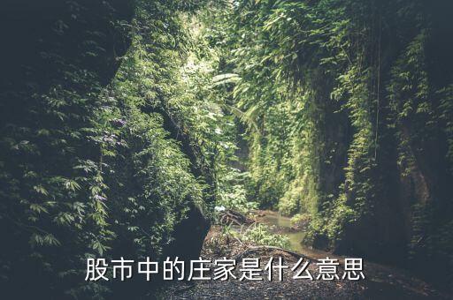 股票莊家什么意思，股市中的莊家是什么意思