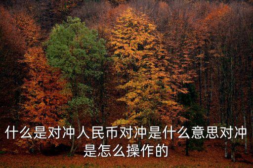 什么是對沖頭寸，什么是對沖人民幣對沖是什么意思對沖是怎么操作的