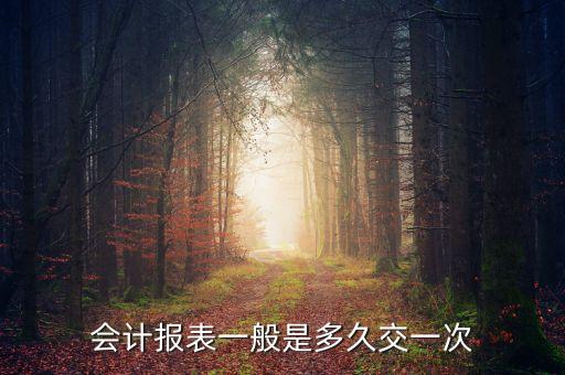 會計(jì)報表一般是多久交一次
