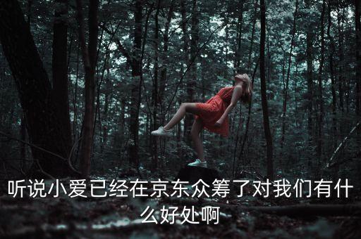 京東jimi機(jī)器人有什么作用，jimi 是什么意思