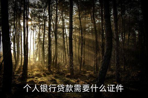 個(gè)人銀行貸款需要什么證件