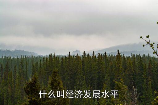 什么叫經(jīng)濟發(fā)展水平
