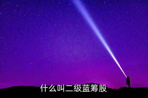 什么叫二級(jí)藍(lán)籌股