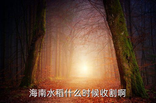 海南水稻什么時(shí)候收割啊