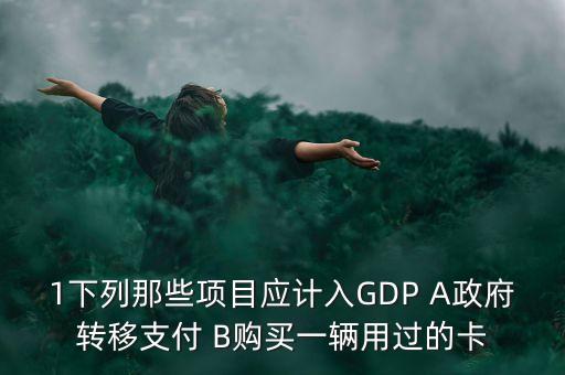 1下列那些項(xiàng)目應(yīng)計入GDP A政府轉(zhuǎn)移支付 B購買一輛用過的卡
