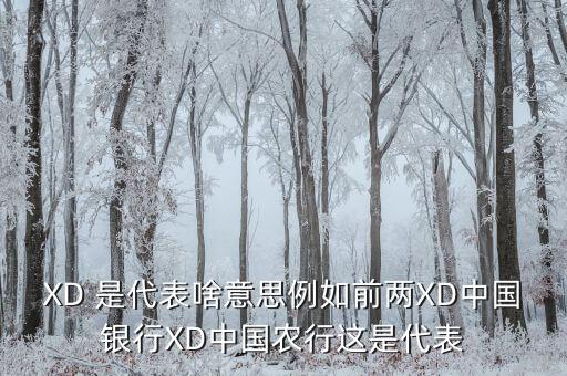 農(nóng)行中證代表什么，XD 是代表啥意思例如前兩XD中國銀行XD中國農(nóng)行這是代表