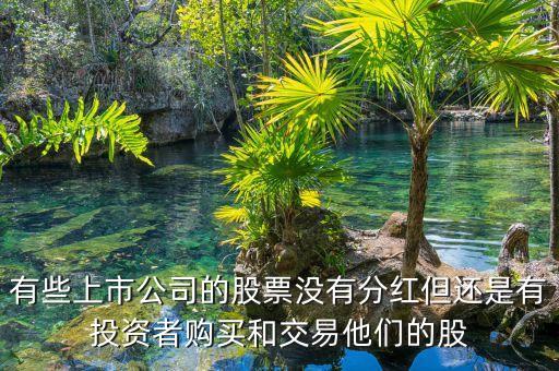 不分紅的股票是什么股，有些上市公司的股票沒有分紅但還是有投資者購買和交易他們的股