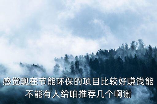 感覺(jué)現(xiàn)在節(jié)能環(huán)保的項(xiàng)目比較好賺錢(qián)能不能有人給咱推薦幾個(gè)啊謝