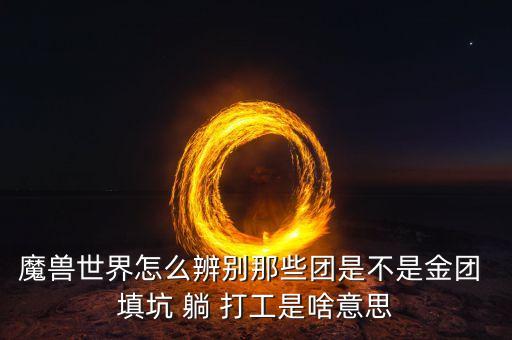 什么叫填坑團(tuán)，什么叫填坑團(tuán)求導(dǎo)游回答