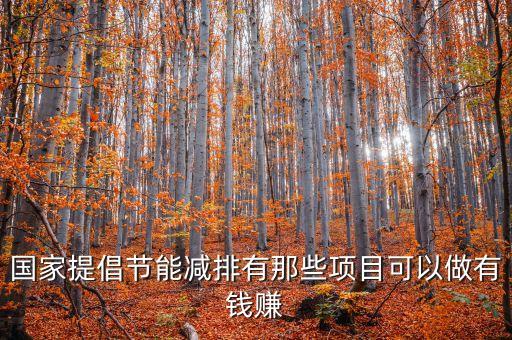 國(guó)家提倡節(jié)能減排有那些項(xiàng)目可以做有錢(qián)賺