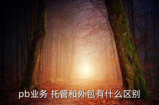 基金外包服務(wù)指什么，基金業(yè)務(wù)外包服務(wù)機(jī)構(gòu)指哪些機(jī)構(gòu)