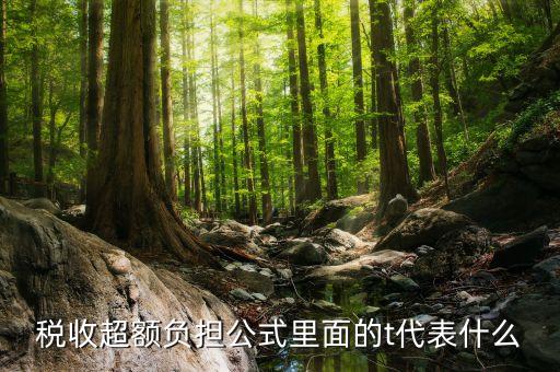 t在經(jīng)濟(jì)中表示什么，高手新人求解答宏觀經(jīng)濟(jì)學(xué)中的G和T代表神馬