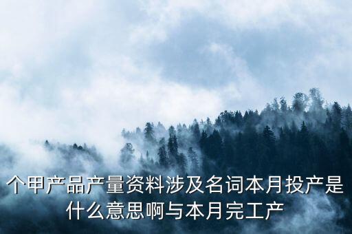 本月投入產量什么意思，本月投產是什么是產品入庫還是材料入庫