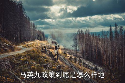 馬英九送習(xí)什么禮，馬英九的歲數(shù)代表什么生肖