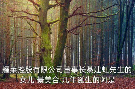 耀萊集團(tuán)董事長(zhǎng)姓什么，武漢耀萊成龍國(guó)際影城老板是成龍嗎